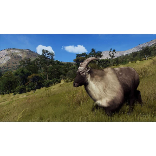 Way of the Hunter Wild Expeditions Way of the Hunter Wild Expeditions