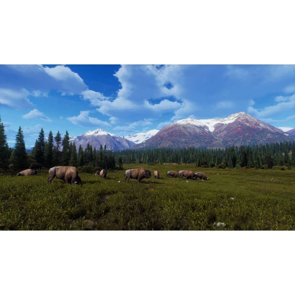 Way of the Hunter Wild Expeditions Way of the Hunter Wild Expeditions