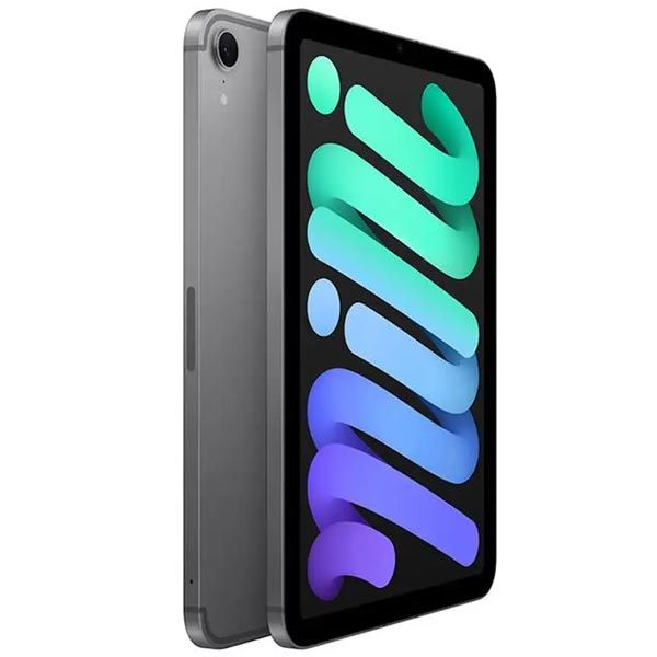 iPad mini Wi-Fi + Cellular 256GB Kozmický sivý (2024)