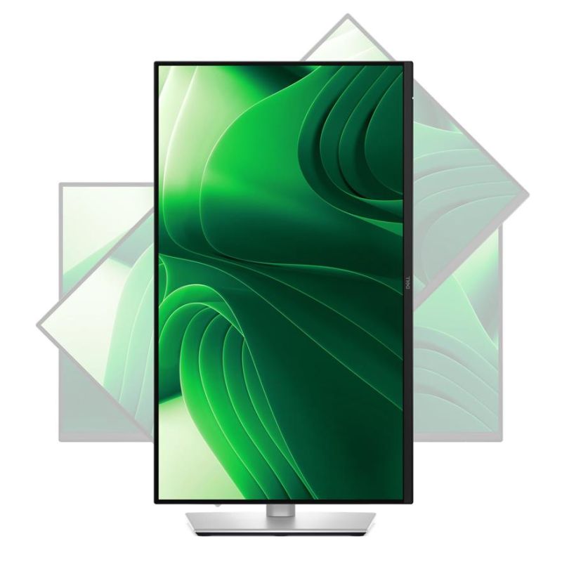 DELL Pro 24 Plus P2425D 24" QHD (2560 x 1400) 100Hz, IPS, 350nit, 1500:1, 5ms, PIVOT, HDMI, DP, USB-C, Black, 3Y