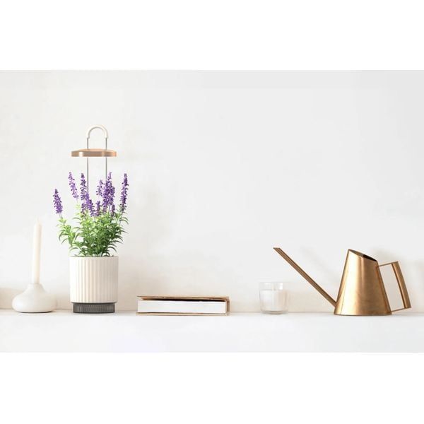 Smart Garden 1 Hydrovase, šedá