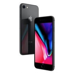 Apple iPhone 8, 256GB, kozmická sivá, Trieda B - použité s DPH, záruka 12 mesiacov na pgs.sk