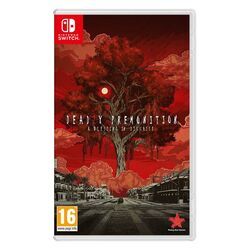 Deadly Premonition 2: A Blessing in Disguise [NSW] - BAZÁR (použitý tovar) na pgs.sk