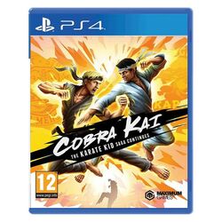 Cobra Kai: The Karate Kid Saga Continues [PS4] - BAZÁR (použitý tovar) na pgs.sk