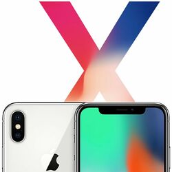 Apple iPhone X 64GB, silver na pgs.sk