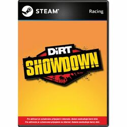 DiRT: Showdown na pgs.sk