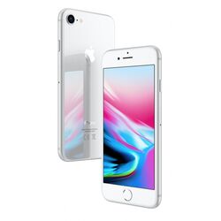 Apple iPhone 8, 256GB | Silver, Trieda A - použité s DPH, záruka 12 mesiacov