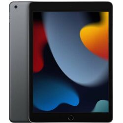 Apple iPad 10.2 (2020), 32GB Wi-Fi Space Gray, Trieda A - použité, záruka 12 mesiacov