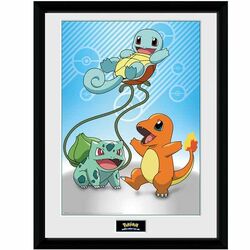 Zarámovaný plagát Kanto Starters (Pokémon)