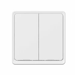 Tesla Smart Switch Dual Battery