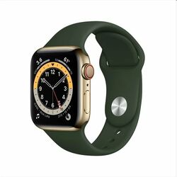 Apple Watch Series 6 GPS, 40mm, zlatá, nerezové puzdros s športovým remienkom cyprus zelená, rozbalené balenie