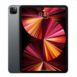 Apple iPad Pro 11" (2021) Wi-Fi + Cellular, 256GB, kozmická sivá, Trieda B - použité, záruka 12 mesiacov foto