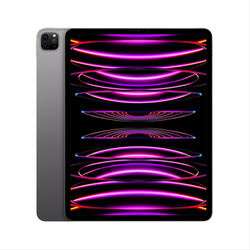 Apple iPad Pro 11" (2022) Wi-Fi 2 TB, kozmická sivá | pgs.sk