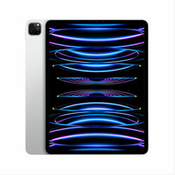 Apple iPad Pro 11" (2022) Wi-Fi + Celluar 256 GB, strieborná | pgs.sk