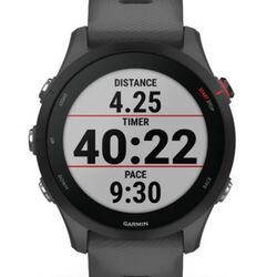 GARMIN Forerunner 255, Slate Grey