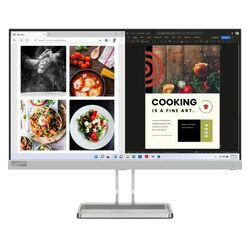 Lenovo L24i-40 23,8