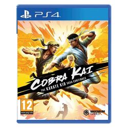 Cobra Kai: The Karate Kid Saga Continues (PS4)