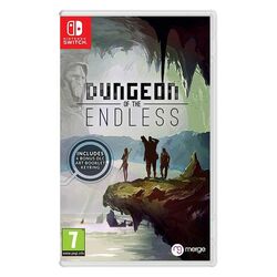 Dungeon of the Endless (NSW)