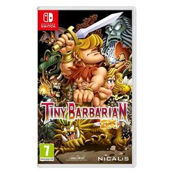 Tiny Barbarian DX (NSW)