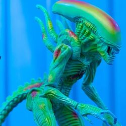 foto 2 - produktové fotka 1