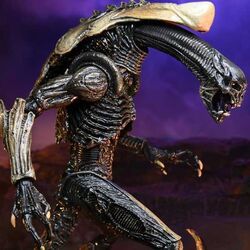 foto 5 - produktové fotka 4